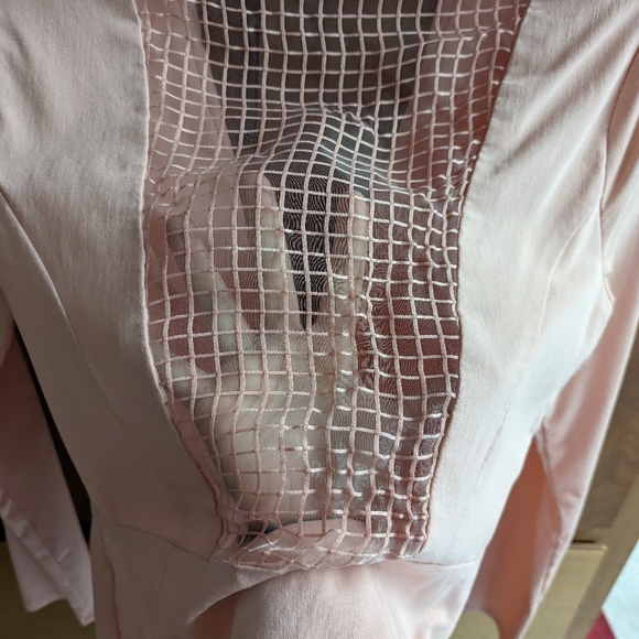 Light Pink See-Thru Blazer - Picture 6 of 7